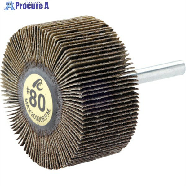 AC フラップホイル 軸径6mm #40 外径50×幅30×軸長40 AF5030-40 5個 ▼306-4697