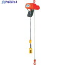 象印 α型(定速) フック式小型電気チェーンブロック 250kg 揚程6m(αC-025 6m) AC-K2560 1台 ▼387-0758 ※車上渡し