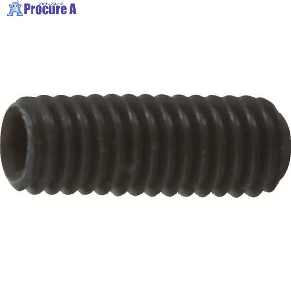 TRUSCO 六角穴付止めねじ 平先 黒染め M3×5 80本入 B63-0305 1パック ▼116-2537