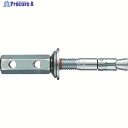 サンコー トルコンアンカーAWタイプ AW3050BW (30X50 50P) 50本 ▼310-6705