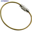 水本 キーワイヤーホルダー ワイヤー径1mm全長120mm ゴールド (1個入り) B-2953 1袋 ▼317-4503
