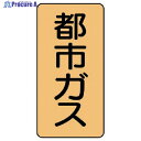 ユニット 配管ステッカー 都市ガス(小) アルミ 80×40 10枚組 AST-4-2S 1組 ▼746-6480