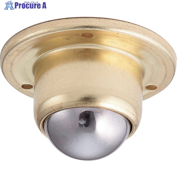 SUGATSUNE (200133021)BM-25面打ボールキャスター BM-25 1個 ▼132-1236