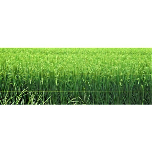 TRUSCO 防鳥用光る糸 イエロー 線径0.44mmx500m BP500Y 1巻 ▼207-1953