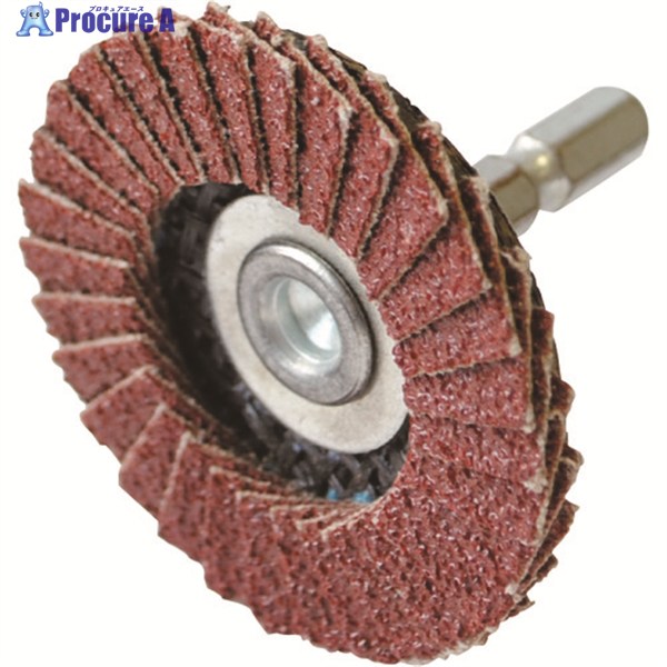 ʥ ѥѥ٥ǥ °ڹ #80 BDT05 1 251-0950