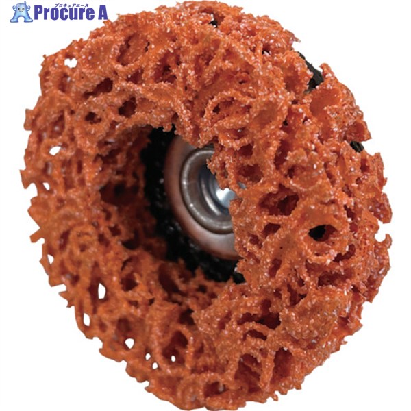 ʥ ѥѥ٥ǥ ȥ󥰥Ӽ 506.35 BDSB01 1 531-2095