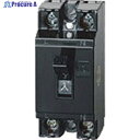 Panasonic 安全ブレーカHB型2 BS1111 1個 ▼818-4087 ●YA513