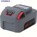 IR 電動工具用電池パック 20V 5.0Ah BL2022 1個 ▼821-7920