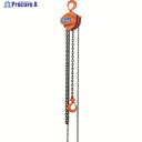 象印 手動チェーンブロック 1t 揚程3m(C21 1-3m) C2101030 1台 ▼221-3296