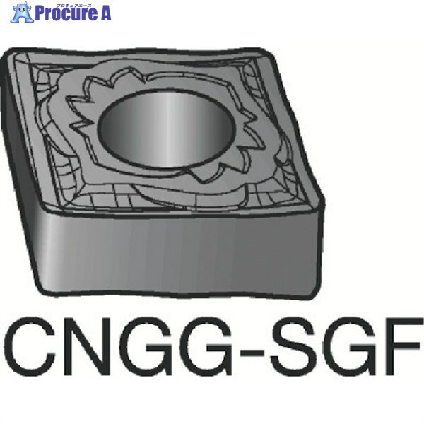 SANDVIK T-Max P ѥͥå(110) H13A CNGG 12 04 04-SGF H13A (110) 10 604-9028 K...