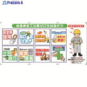 SHOWA コンビネーションシート C-002 1枚 ▼819-4024