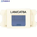 PANDUIT JISプレート用シャッター付きアダプタ オフホワイト LAN・CAT6A (10個入) CMASSP6AIW-X 1袋 ▼825-7251