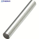 TRUSCO 強力ドレッサーホルダ DH-265用ピン 10本入 DH-265P 1袋 ▼116-2194