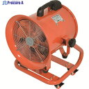 NICHIDO ダイナミックファン300 DF-300CA 1台 ▼161-8916 ※車上渡し