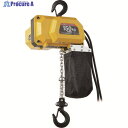 OH 電動チェ-ンホイスト 150Kg 揚程3m DCH-150 1台 ▼166-7755