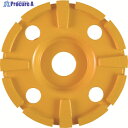 三京 ドライサーフェーサー 研削用 100X20.0 DF-4M 1枚 ▼175-7997