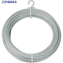 TRUSCO メッキ付ワイヤーロープ Φ6mmX10m CWM-6S10 (6MMX10M) 1巻 ▼213-4659