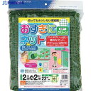 MATAI お好きにネット 22mm(2m×2m)グリーン DDHC01113 1巻 ▼363-2251