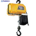 OH 電動チェーンホイスト 250Kg 揚程6m DCH-250 1台 ▼382-7327
