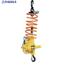 ENDO エアーホイスト EHW-60 60kg 1.9M 0.6MPa EHW-60 1台 ▼107-4407