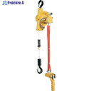 ENDO エアーホイスト EHW-60R 60kg 1.9M 0.6MPa EHW-60R 1台 ▼107-4474