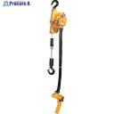 ENDO エアーホイスト EHW-120R 120kg 1.9M 0.6MPa EHW-120R 1台 ▼107-4482
