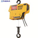 OH 電動ワイヤーホイスト50Kg DWH-50 1台 ▼166-9275