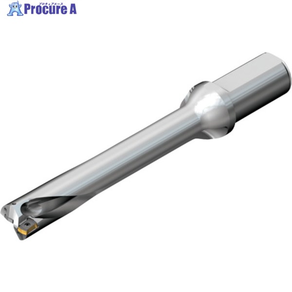 SANDVIK ɥDS20򴹼ɥ(465) DS20-D3500L40-06 (465) 1 216-0975 KO...