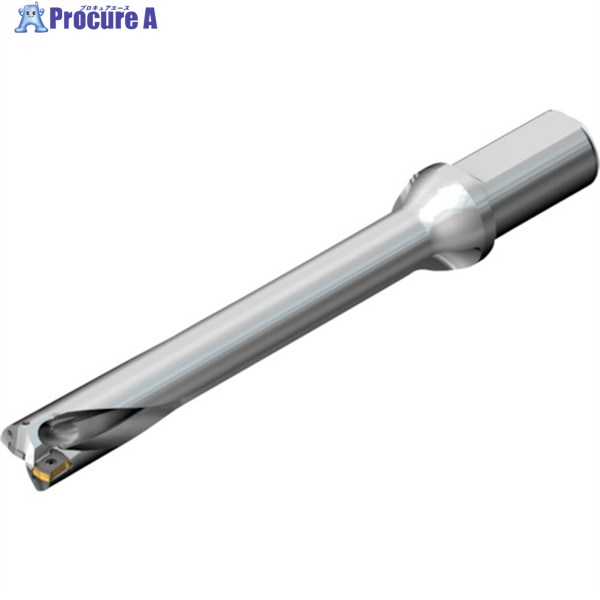 SANDVIK コロドリルDS20刃先交換式ドリル(465) DS20-D1500L20-07 (465) 1本 ▼216-4083 ●KO521