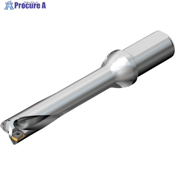 SANDVIK ɥDS20򴹼ɥ(465) DS20-D3900L40-05 (465) 1 216-5695 KO...