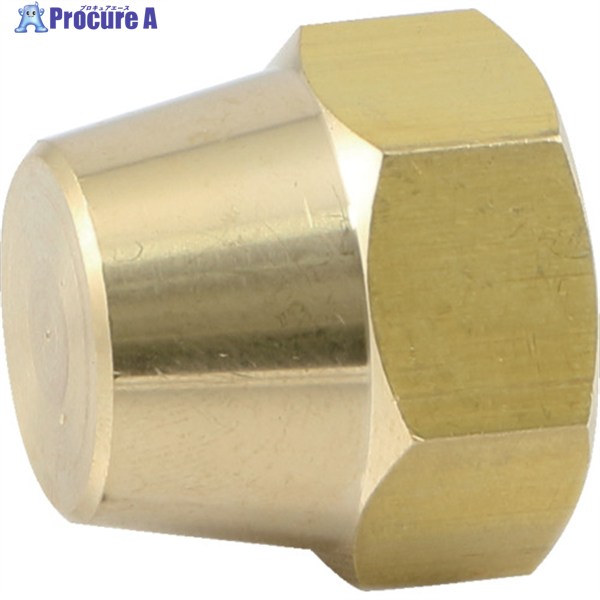 ASOH ե쥢å 1/2X20 FN-0008 1 360-3032