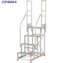 PiCa 両手すり 手すり高さ900mm、1100mm兼用 FGN-TR34-25 1S ◇▼383-2884