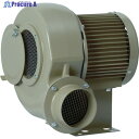 昭和 高効率電動送風機 マルチシリーズ(0.4kW)FSM-H04-R313 FSM-H04 1台 ▼453-7513