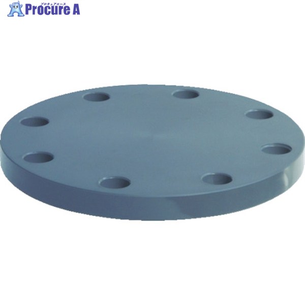 エスロン 板フランジSB型 100 JIS10K PVC FSB1H 1枚 ▼494-9412