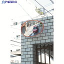 光 ガレージミラー楕円型330mm×550mm GMH-335 1個 ▼406-5620