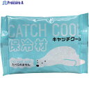 TRY 保冷剤 キャッチクール500g HC-500 1個 ▼411-5091