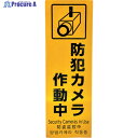 光 多国語防犯サイン 反射シート 防犯カメラ作動中 HBH301-1 1枚 ▼595-1654