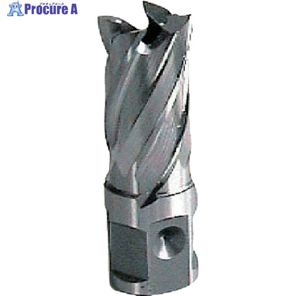 大見 25SQハイスカッター 12.0mm HCSQ120 1個 ▼807-9914