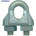 ニッサチェイン 鉄ucワイヤークリップ 6mm (10個入) IYP1060 1箱 ▼126-1356【代引決済不可】