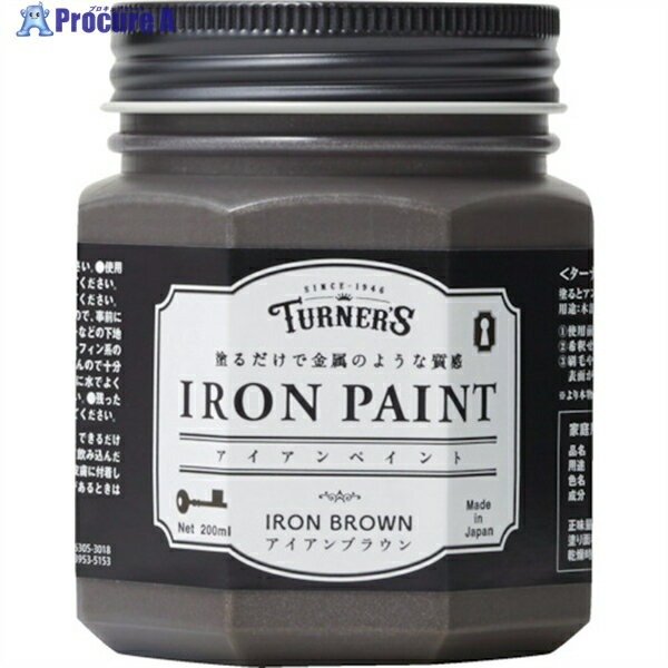 ターナー アイアンペイントアイアンブラウン200ML IR200010 1個 ▼226-0961