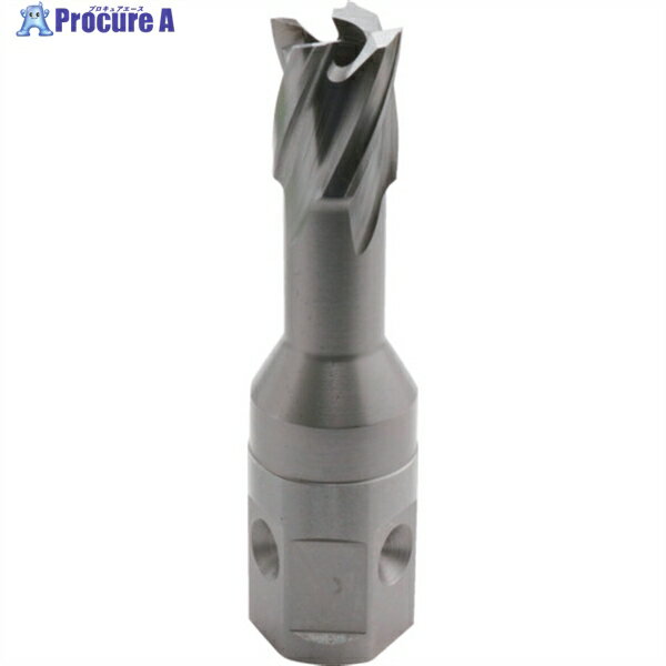 育良 LBクイックカッターISK-2QC120(ハイス刃)(54602) ISK-2QC120 1本 ▼658-5456【代引決済不可】