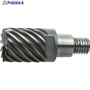 三菱 12枚刃難削材加工用 超硬多刃制振ラジアスヘッド25mm (コート品) EP7020 IMX25C12HV250R10026 EP7020 1個 ▼664...
