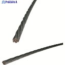 JAPPY メッセンジャーワイヤー JMS1420 1巻 ▼216-5189