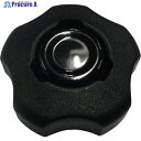 コノエ ノブスターN 黒-黒 M6(10個入) KNOBSTARN-BB-6 1袋 ▼326-9991