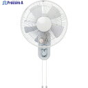 TEKNOS 壁掛けメカ扇風機 30cm KI-W292 1台 ▼659-4108