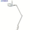 SK アーム式LED拡大鏡 無段階調光機能付 2倍 170x105mm LS2-S170AD 1台 ▼207-1776