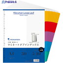 maruman A4 ラミタブ見出し 幅広 5山10組 LT3005F 1冊 ▼405-9317