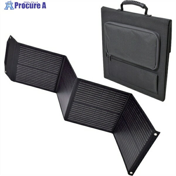 NICHIDO ԥХѥ顼ѥͥ100W LPE-SO100 1 537-0697