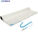 StarTech 静電気除去マット/60cm x 70cm/取外し可能アースコード付き M3013 1箱 ▼497-5401