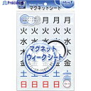 マグエックス マグネットウィークシート 大 MSW-7B 1枚 ▼447-3027